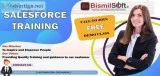 Salesforce Training in Delhi