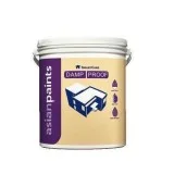 V S Enterprises - Asian paints Smarcare Damp Proof