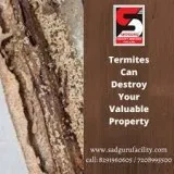 Pest Control Services in Lower Parel - Sadguru Pest Control