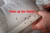 Pest Control Services in Kandivali-Sadguru Pest Control