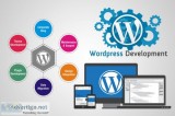 Web development india