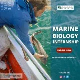 Marine Biology Interns