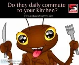 Pest control near me - sadguru pest control