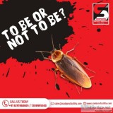 Cockroach pest control services in mumbai - sadguru pest control