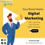 Softpulse infotech digital marketing agency