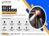 Study abroad consultants in chennai