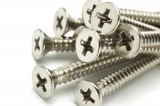 Stainless Steel Screws Manufacturers in India