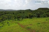 Property for sale in alibaug