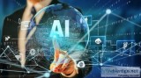 Artificial intelligence development services