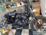 2019 Harley Sportster XL883N
