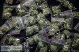 Fresh high grade