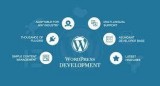Wordpress Theme Design Services