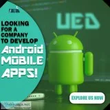 Grab affordable web design from Website Development Agency