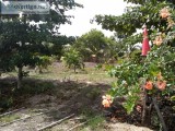 Small Farm Valley of Peace belize