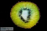 Kiwi exporter