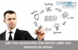 White label seo services in india