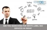 White label seo services in india