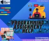 Programming Assignment Help