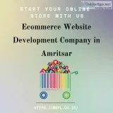 Ecommerce website development company in amritsar