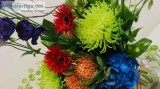 San Rafael Florist - Local Flower Delivery in Marin County North