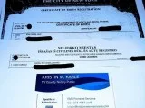 NYC BIRTH CERTIFICATE APOSTILLE TRANSLATIONS (30 Languages Avail