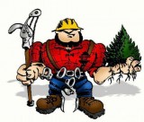 Tree Removal--Tree Trimming--Stump Removal--Land Clearing