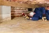 Termite treatment Rosenberg