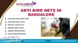Anti Bird Nets in Bangalore