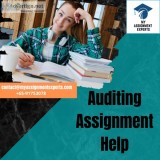 Auditing assignment help  My Assignment experts