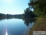 FREE ONLINE HOME SEARCH OF DOZENS OF HOUSES FOR SALE ON LAKE MUR