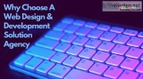 Why Choose A Web Design and Development Solution Agency