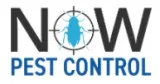 Worried About Termite Attacks Call Us For Instant Assistance