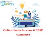 Online classes for class 11 CBSE commerce