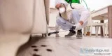 Pest Control Inspection