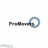 Pro movers miami