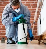 Pest Control Services In Texas