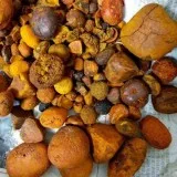 Quality CowOx Gallstones for Sale