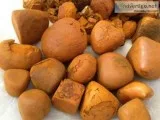 Ox Gallstones  Cattle Gallstones  Cow Gallstones