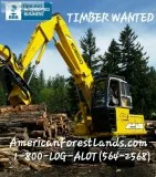 Logging Company Thurston County Washington Timber sales cedar fi