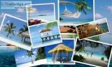 Holiday packages in india - swan tour