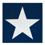 texas flags