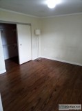 Basement apartment for rent in Springfieldva 1400