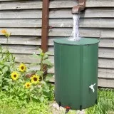 If You Love Flowers In Your Yard Water Them With Rain Water