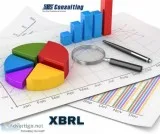 Xbrl filling services singapore