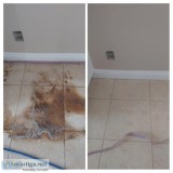 Professional Tile and Grout Cleaning in Roseville