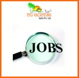 Urgent hiring for company promotion executive