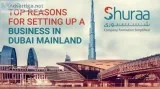 Llc company cost in dubai