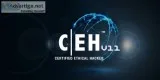 Ethical hacker course online in india