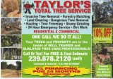 Dangerous Tree Removal-Land Clearing-Tree Trimming