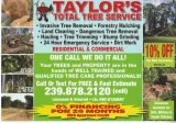 Dangerous Tree Removal-Land Clearing-Tree Trimming